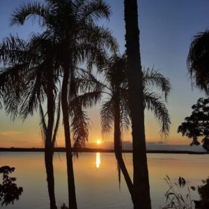 Teereno em São Francisco do Sul – Linguado